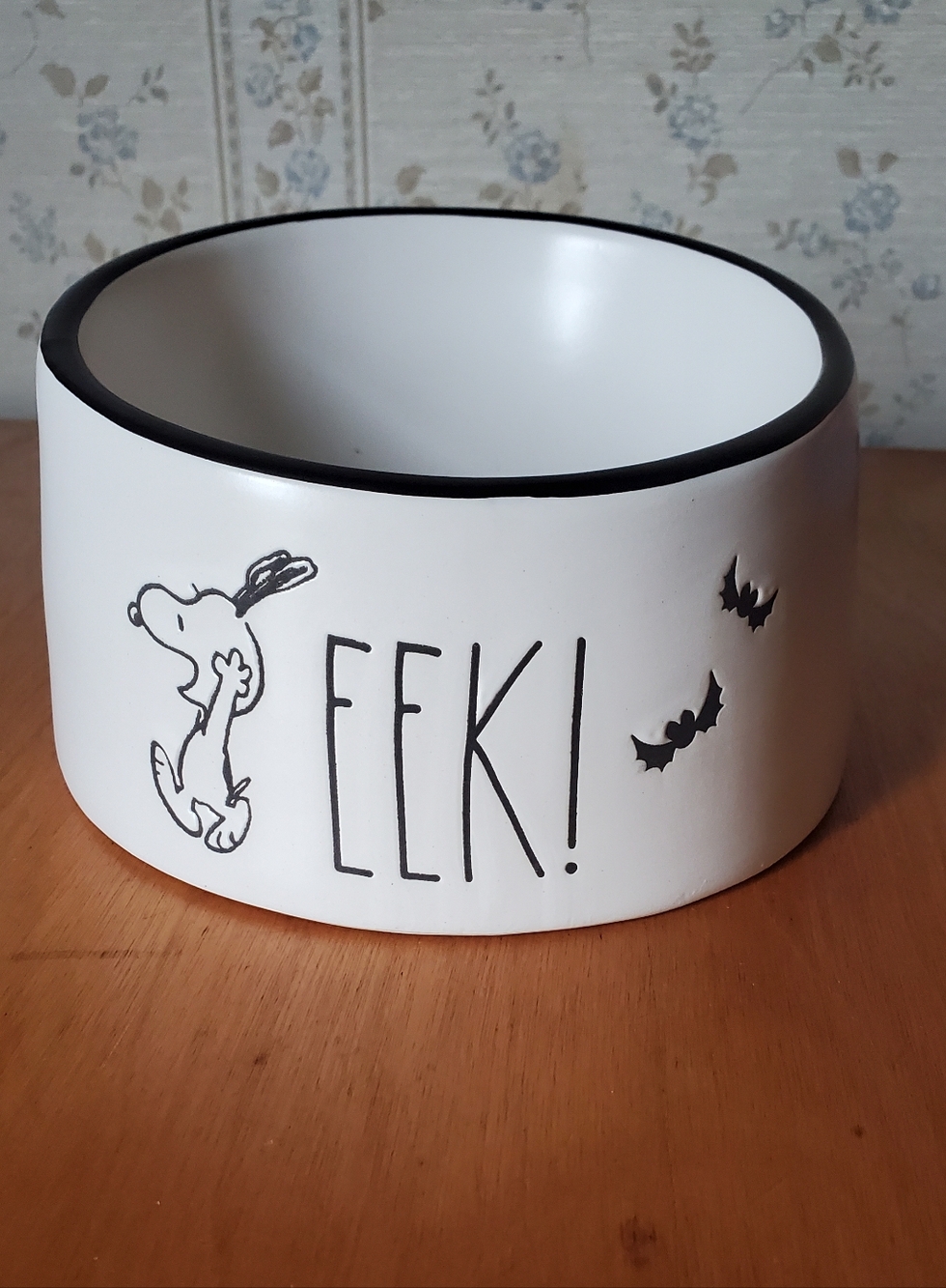 Rae Dunn Peanuts Collab 'Eek!' Bats Halloween Dog/cat Bowl, 2025